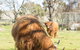 Ratho Farm - thumb 4