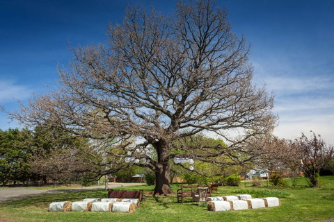 Ratho Farm - Accommodation Adelaide 8