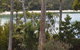 Stewarts Bay Lodge - thumb 23