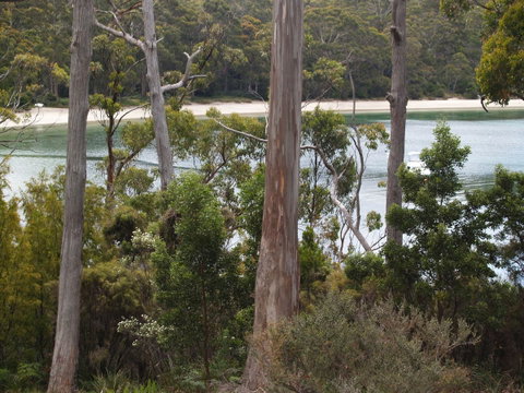 Stewarts Bay Lodge - Accommodation Adelaide 23