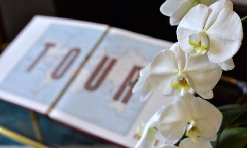 Lotus Gogh Apartment - Accommodation Adelaide 6
