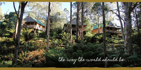 Lemonthyme Wilderness Retreat - Accommodation Adelaide 20