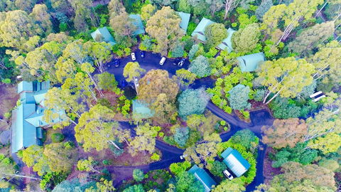 Lemonthyme Wilderness Retreat - Accommodation Adelaide 1