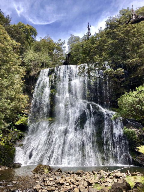 Lemonthyme Wilderness Retreat - Accommodation Adelaide 9