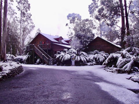 Lemonthyme Wilderness Retreat - Accommodation Adelaide 12