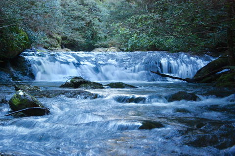 Lemonthyme Wilderness Retreat - Accommodation Adelaide 10