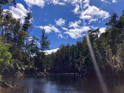 Lemonthyme Wilderness Retreat - Accommodation Adelaide 7