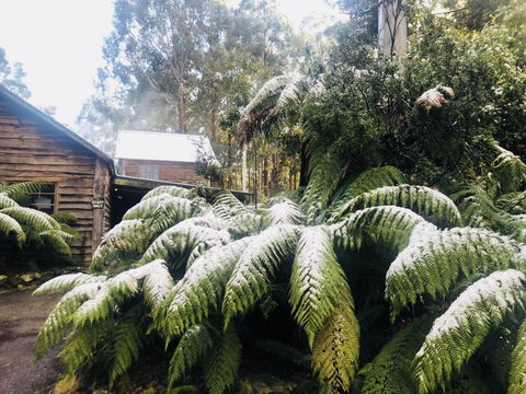 Lemonthyme Wilderness Retreat - Accommodation Adelaide 5