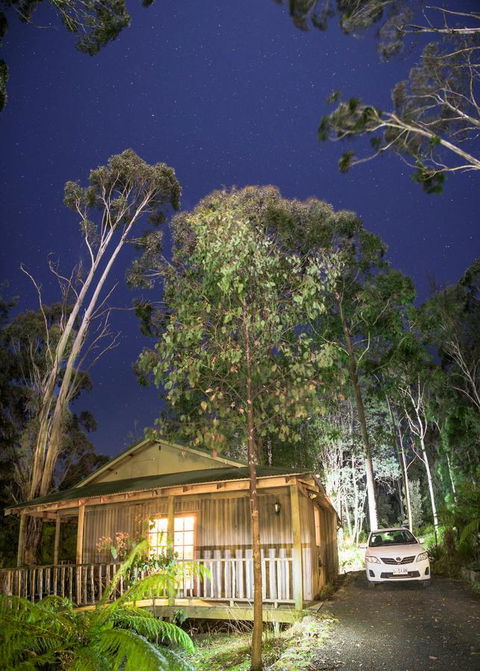 Lemonthyme Wilderness Retreat - Accommodation Adelaide 3