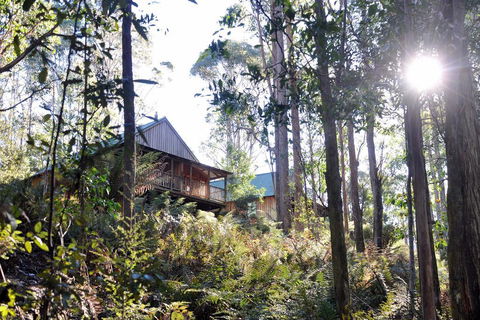 Lemonthyme Wilderness Retreat - Accommodation Adelaide 25