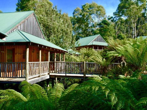 Lemonthyme Wilderness Retreat - Accommodation Adelaide 11
