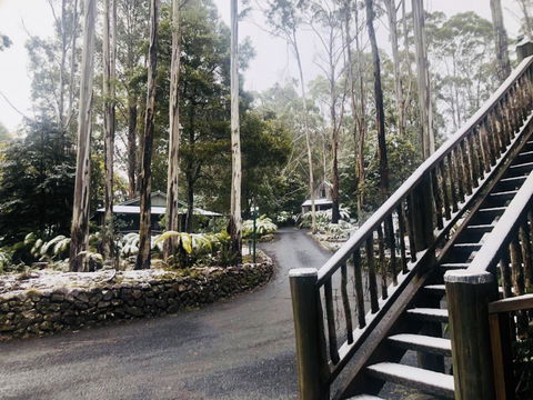Lemonthyme Wilderness Retreat - Accommodation Adelaide 15