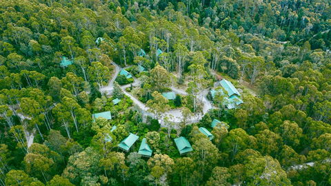 Lemonthyme Wilderness Retreat - Accommodation Adelaide 0