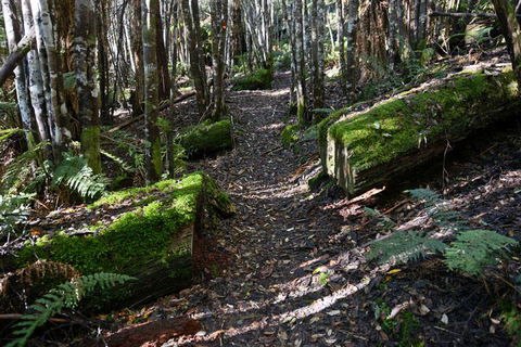 Lemonthyme Wilderness Retreat - Accommodation Adelaide 22