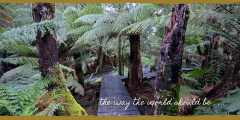 Lemonthyme Wilderness Retreat - Accommodation Adelaide 17