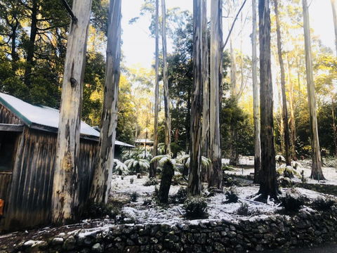 Lemonthyme Wilderness Retreat - Accommodation Adelaide 6