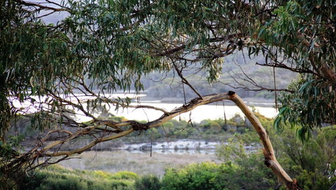 KINGFISHER COTTAGE Beachfront At The Binalong Bay - Accommodation Adelaide 17