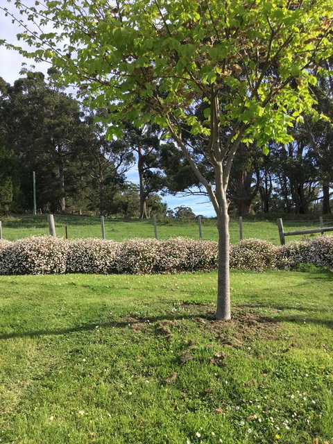 Nextdoor@portarthur - Accommodation Adelaide 17