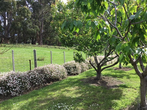 Nextdoor@portarthur - Accommodation Adelaide 18