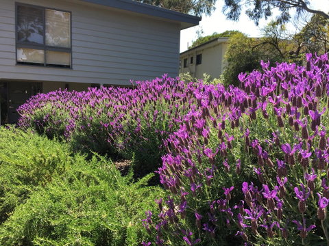 Kookas Retreat - Accommodation Adelaide 14