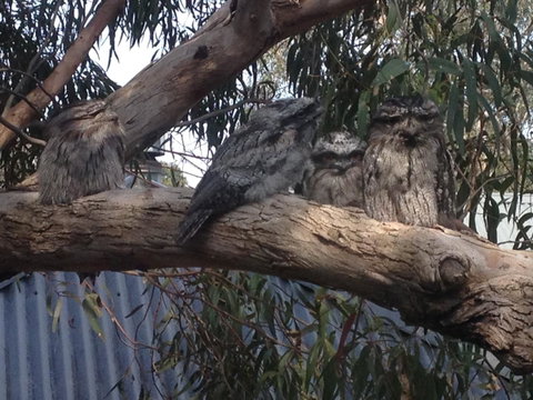 Kookas Retreat - Accommodation Adelaide 15