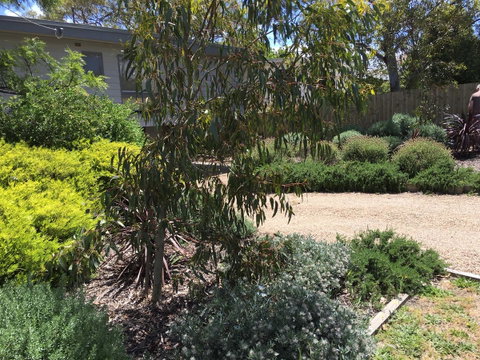 Kookas Retreat - Accommodation Adelaide 13