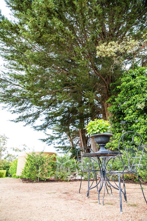 The Cottage - Accommodation Adelaide 6