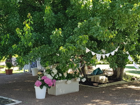 The Cottage - Accommodation Adelaide 30