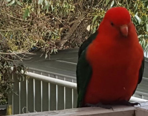 Wilsons Promontory Motel - Accommodation Adelaide 23