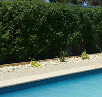 Robinvale Bridge Motel - Accommodation Adelaide