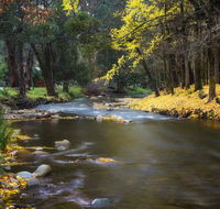 Goldfield Holiday Units - Accommodation Adelaide