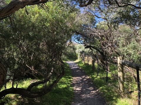 Beautiful, Cosy And Quiet - Accommodation Adelaide 20