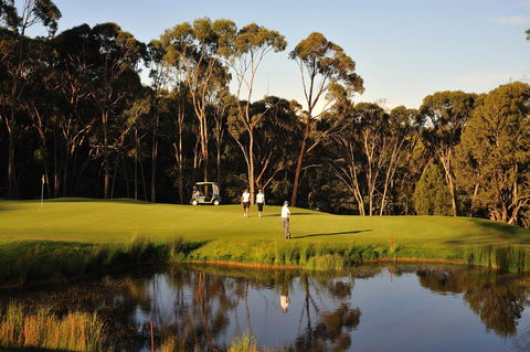 RACV Goldfields Resort - Accommodation Adelaide 31