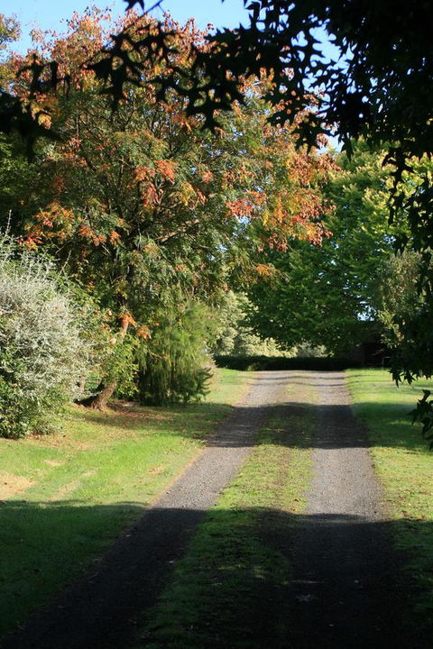 Strathmore Farm B&B - Accommodation Adelaide 27