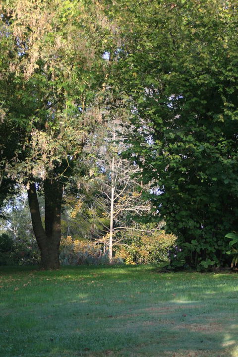 Strathmore Farm B&B - Accommodation Adelaide 26