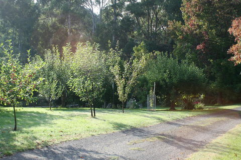 Strathmore Farm B&B - Accommodation Adelaide 33
