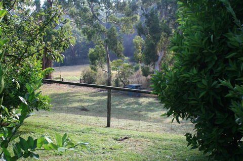 Strathmore Farm B&B - Accommodation Adelaide 30