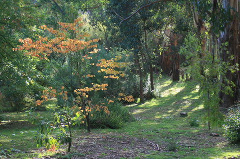 Strathmore Farm B&B - Accommodation Adelaide 25