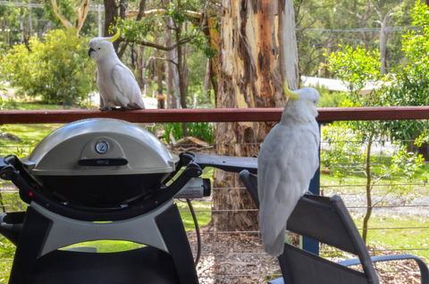 Blue Ridge Retreat - Accommodation Adelaide 3