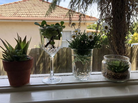 Growse House Yarram 3BR - Accommodation Adelaide 10