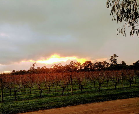 The Grove Distillery & Brewery - Accommodation Adelaide 2