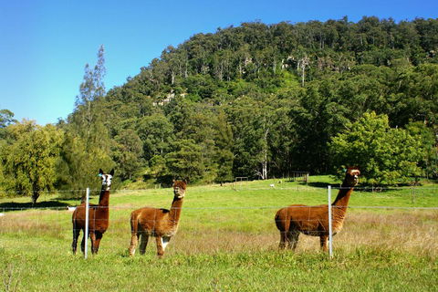 The Heavens Mountain Escape - Accommodation Adelaide 2