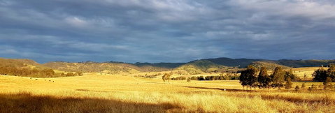 The Wattle Lodge - Accommodation Adelaide 1