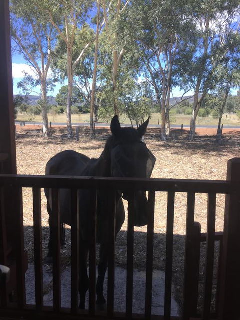 Thie My Chree Retreat - Accommodation Adelaide 3