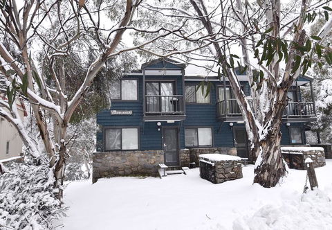 Three Bears 3 - Accommodation Adelaide 0