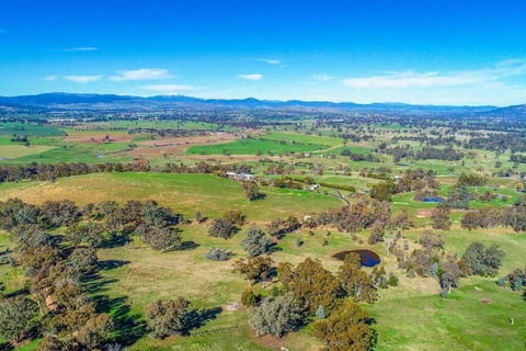Timberline Park High Country Farmstay - Accommodation Adelaide 0