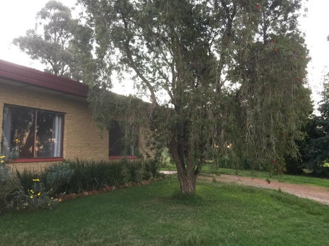 Tree Of Love Farm Stay - Accommodation Adelaide 1