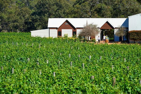 Upper Reach Spa Cottage - Accommodation Adelaide 0