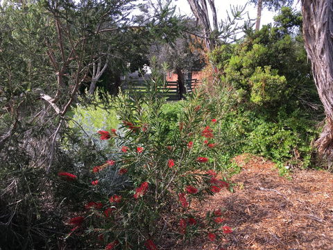 Andrew's On Topaz - Accommodation Adelaide 1
