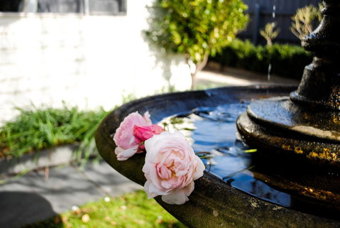 Bed Of Roses - Accommodation Adelaide 35